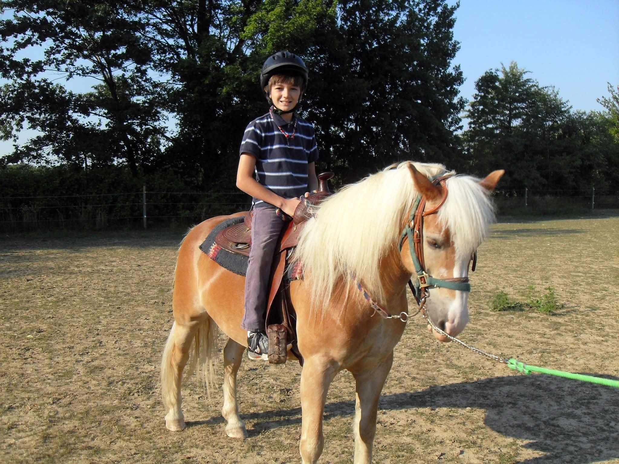Carmen Baird riding horse — Avon Lake Ohio